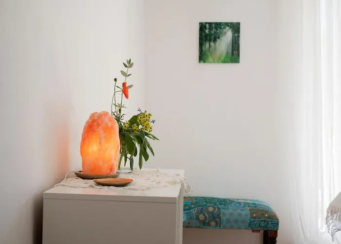 Ljubljeni * 普利莫顿