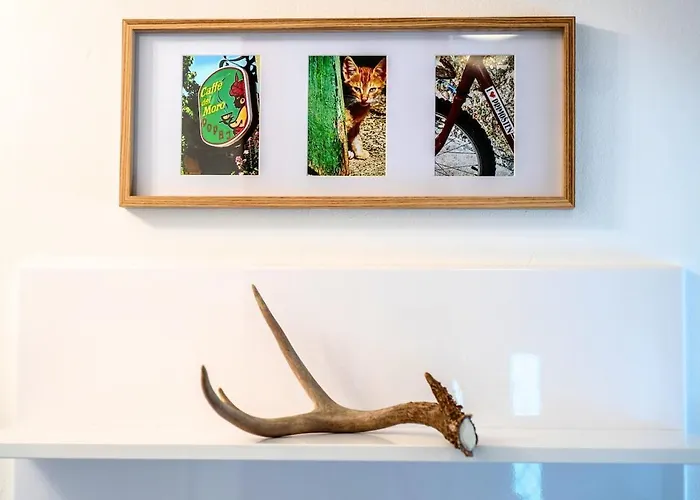 Ljubljeni * 프리모스턴